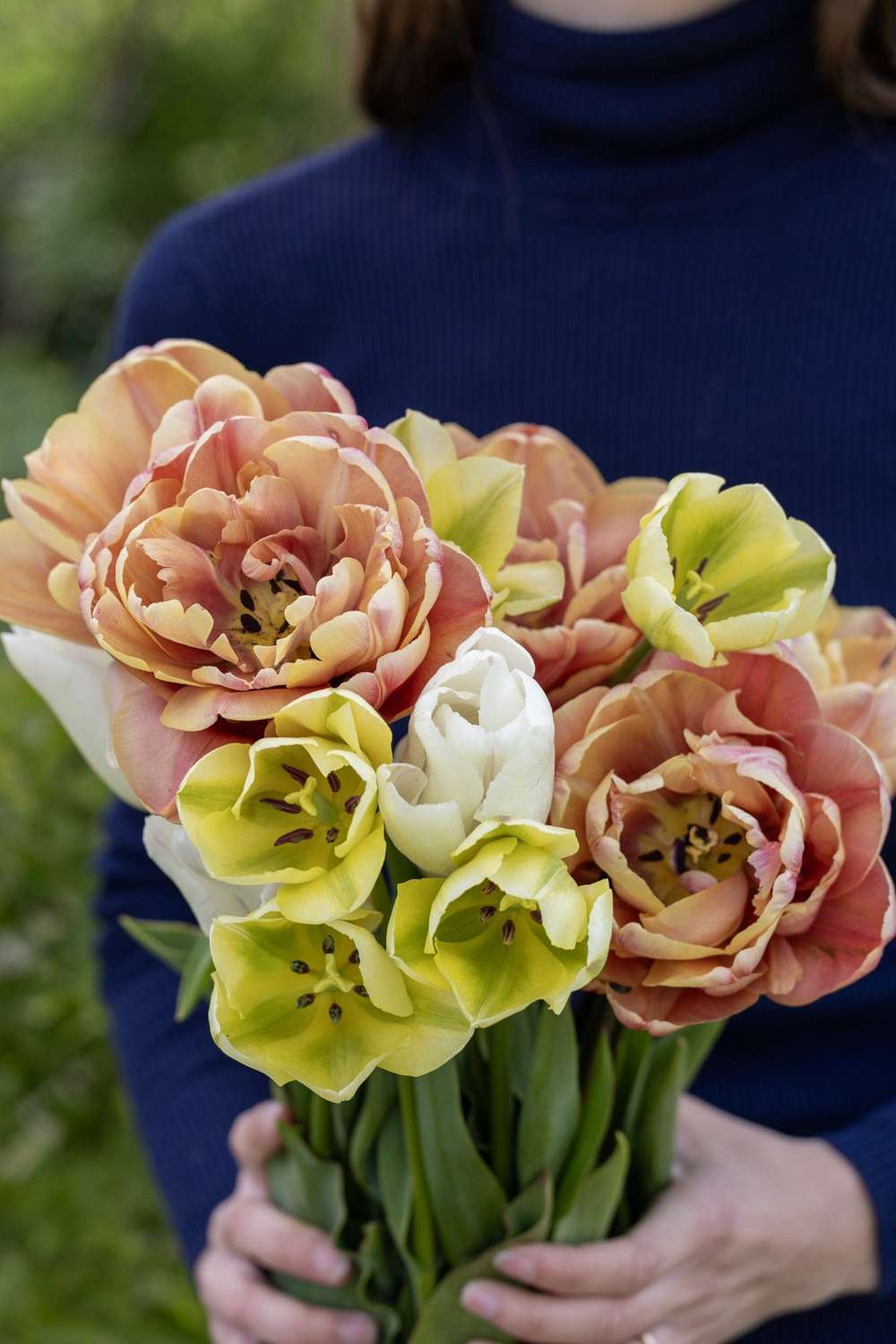 Tulipanblanding 'Antique Lemon'